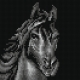 Haft krzyżykowy - do wyboru: kanwa z nadrukiem, nici Ariadna/DMC, wzór graficzny - Koń (No 5781)