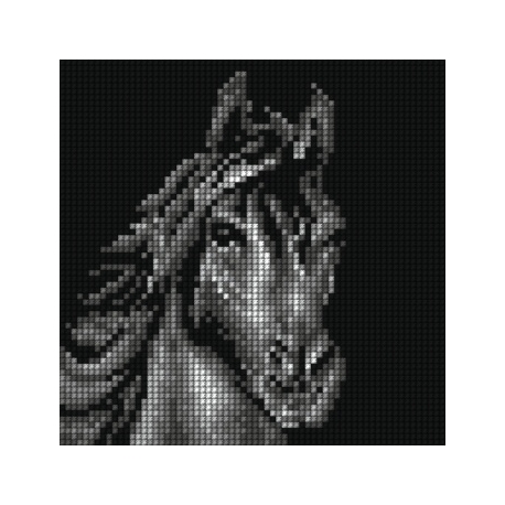 Haft krzyżykowy - do wyboru: kanwa z nadrukiem, nici Ariadna/DMC, wzór graficzny - Koń (No 5781)