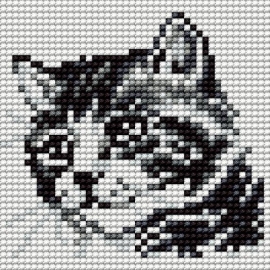 Obrazek do haftu krzyżykowego - Kotek (No 5698)