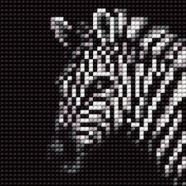 Haft krzyżykowy - do wyboru: kanwa z nadrukiem, nici Ariadna/DMC, wzór graficzny - Zebra (5895)