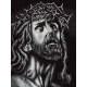 Jezus Chrystus w koronie cierniowej - 7329