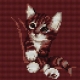 Haft krzyżykowy - do wyboru: kanwa z nadrukiem, nici Ariadna/DMC, wzór graficzny - Rudy kotek (No 5675)