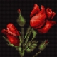 Obrazek do haftu krzyżykiem - Róża