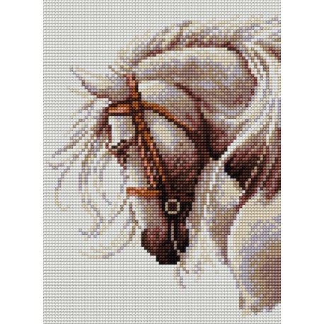 Haft krzyżykowy - do wyboru: kanwa z nadrukiem, nici Ariadna/DMC, wzór graficzny - Portret konia (No 5340)