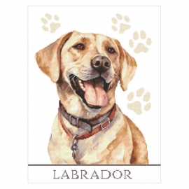 Labrador - obrazek do wyszywania haftem krzyżykowym