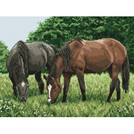 Obrazek do haftu krzyżykowego - Konie na pastwisku