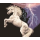Haft krzyżykowy - do wyboru: kanwa z nadrukiem, nici Ariadna/DMC, wzór graficzny - Koń podczas burzy (No 7023)