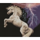 Haft krzyżykowy - do wyboru: kanwa z nadrukiem, nici Ariadna/DMC, wzór graficzny - Koń podczas burzy (No 7023)