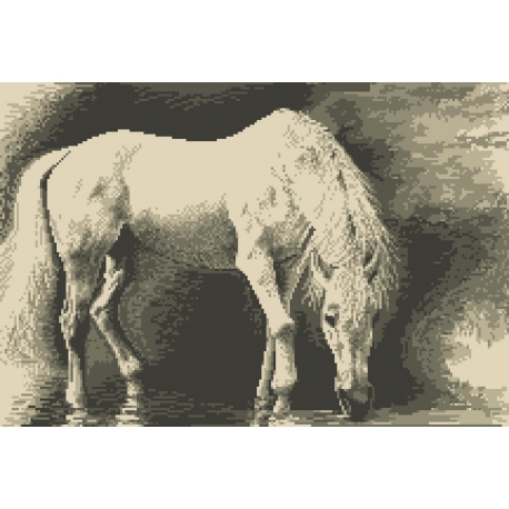 Haft krzyżykowy - do wyboru: kanwa z nadrukiem, nici Ariadna/DMC, wzór graficzny - Biały koń (No 94042)