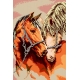 Haft krzyżykowy - do wyboru: kanwa z nadrukiem, nici Ariadna/DMC, wzór graficzny - Zakochane konie (No 5168) VI