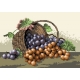 Haft krzyżykowy - do wyboru: kanwa z nadrukiem, nici Ariadna/DMC, wzór graficzny - Kosz winogron (No 5313)