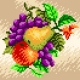 Haft krzyżykowy - do wyboru: kanwa z nadrukiem, nici Ariadna/DMC, wzór graficzny - Owoce (No 5582)