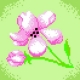 Haft krzyżykowy - do wyboru: kanwa z nadrukiem, nici Ariadna/DMC, wzór graficzny - Kwiatek (No 5253)