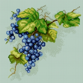Haft krzyżykowy - do wyboru: kanwa z nadrukiem, nici Ariadna/DMC, wzór graficzny - Winogrona - kiść winogron (No 7293)