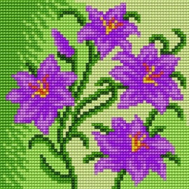 Haft krzyżykowy - do wyboru: kanwa z nadrukiem, nici Ariadna/DMC, wzór graficzny - Kwiatki (No 5589)