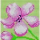 Haft krzyżykowy - do wyboru: kanwa z nadrukiem, nici Ariadna/DMC, wzór graficzny - Kwiatek (No 178)